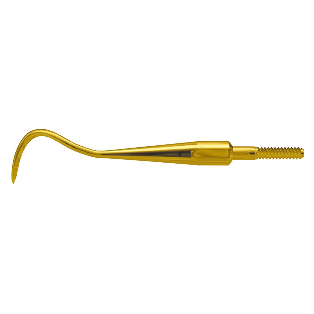Scaler Eagle Claw A XP Quick Tip AE St