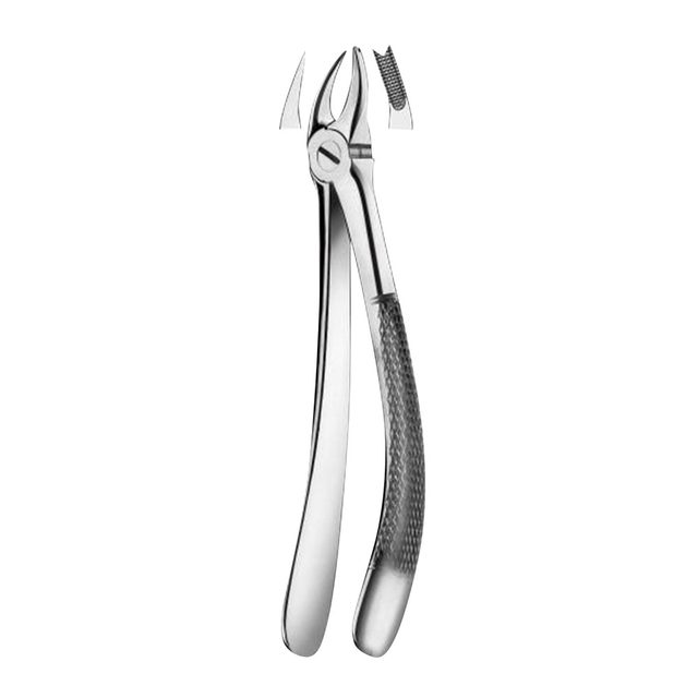 Zahnzange 90 OK Molar L St