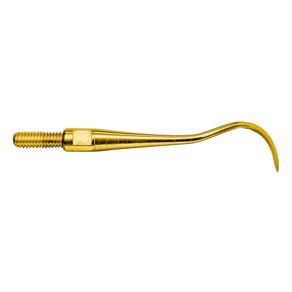 Scaler BlackJack B XP Quick Tip AE St